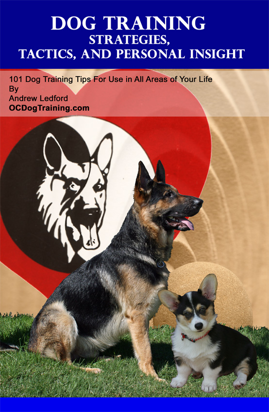 Dog Training Book